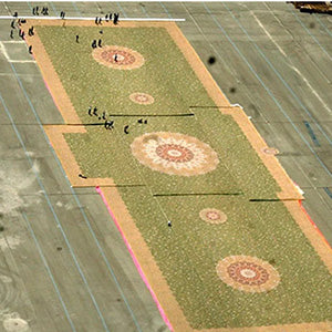 World's Largest Persian Carpet of estimated value $8.2 million.
