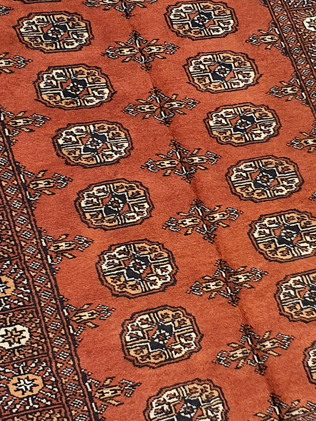 Persian Bukhara Red-AR1261