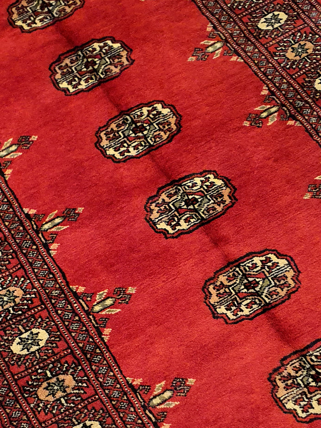 Persian Bukhara Red -AR1265