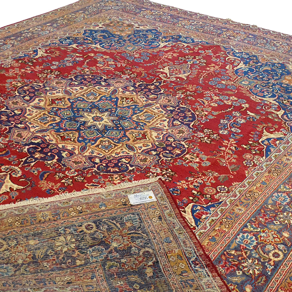 Persian Kishan Red With Blue-AR1383