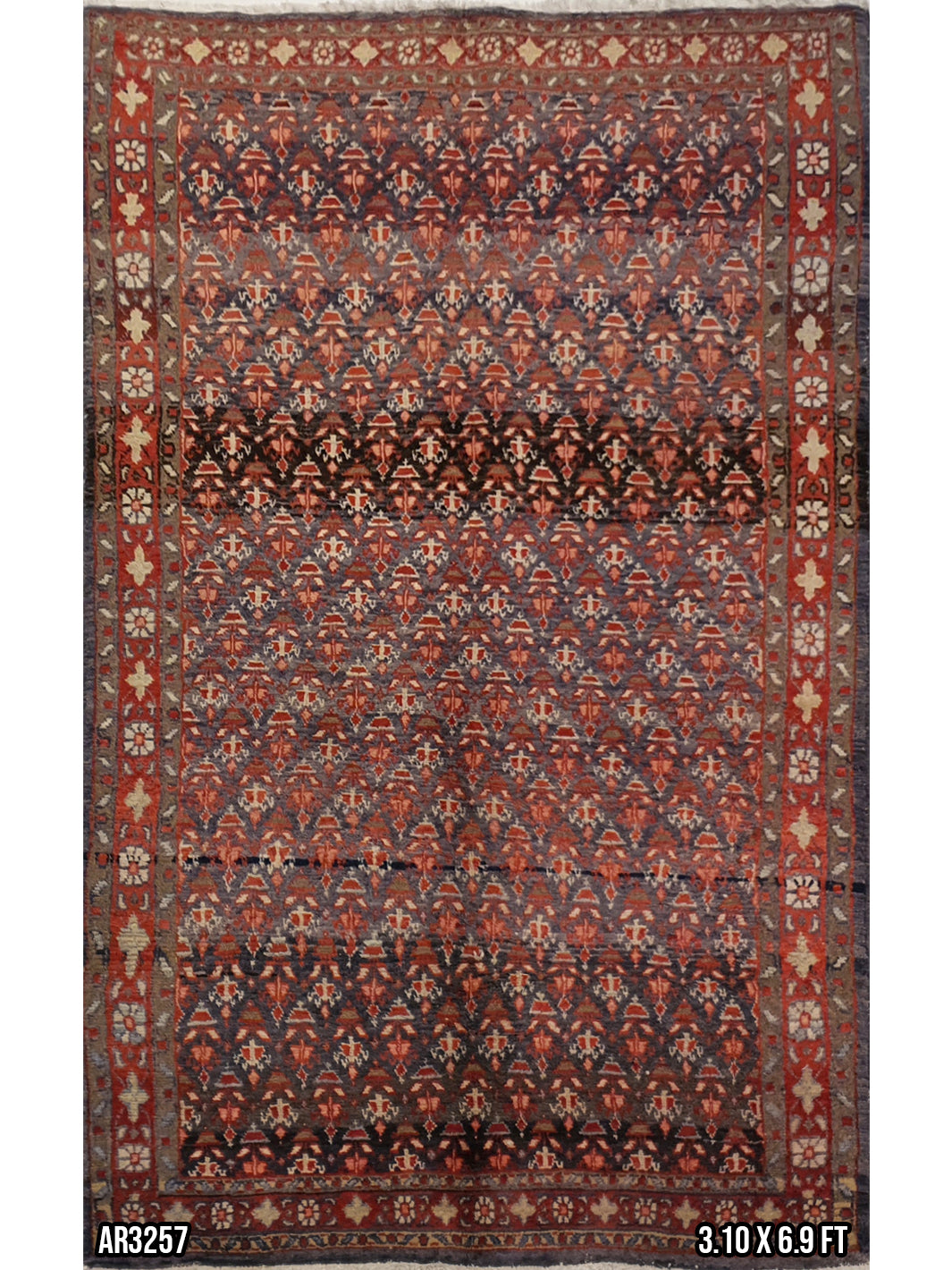 Persian Baluch Wool Allover Design - 3.10 X 6.9 FT - AR3257