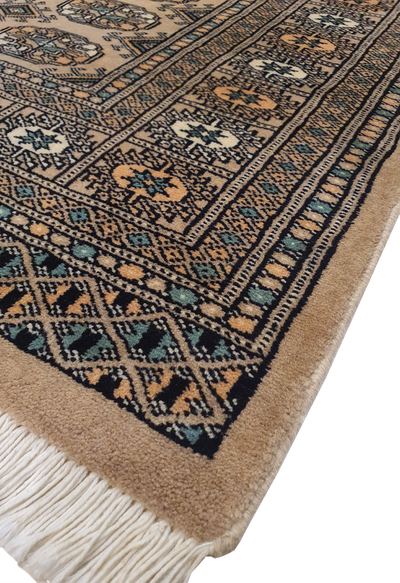 Persian Bokharah-AR2207