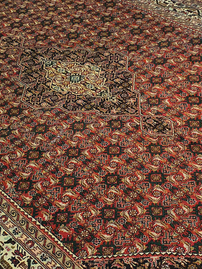 Persian Bidjar Design - 6.9 x 9.11 FT - AR1331