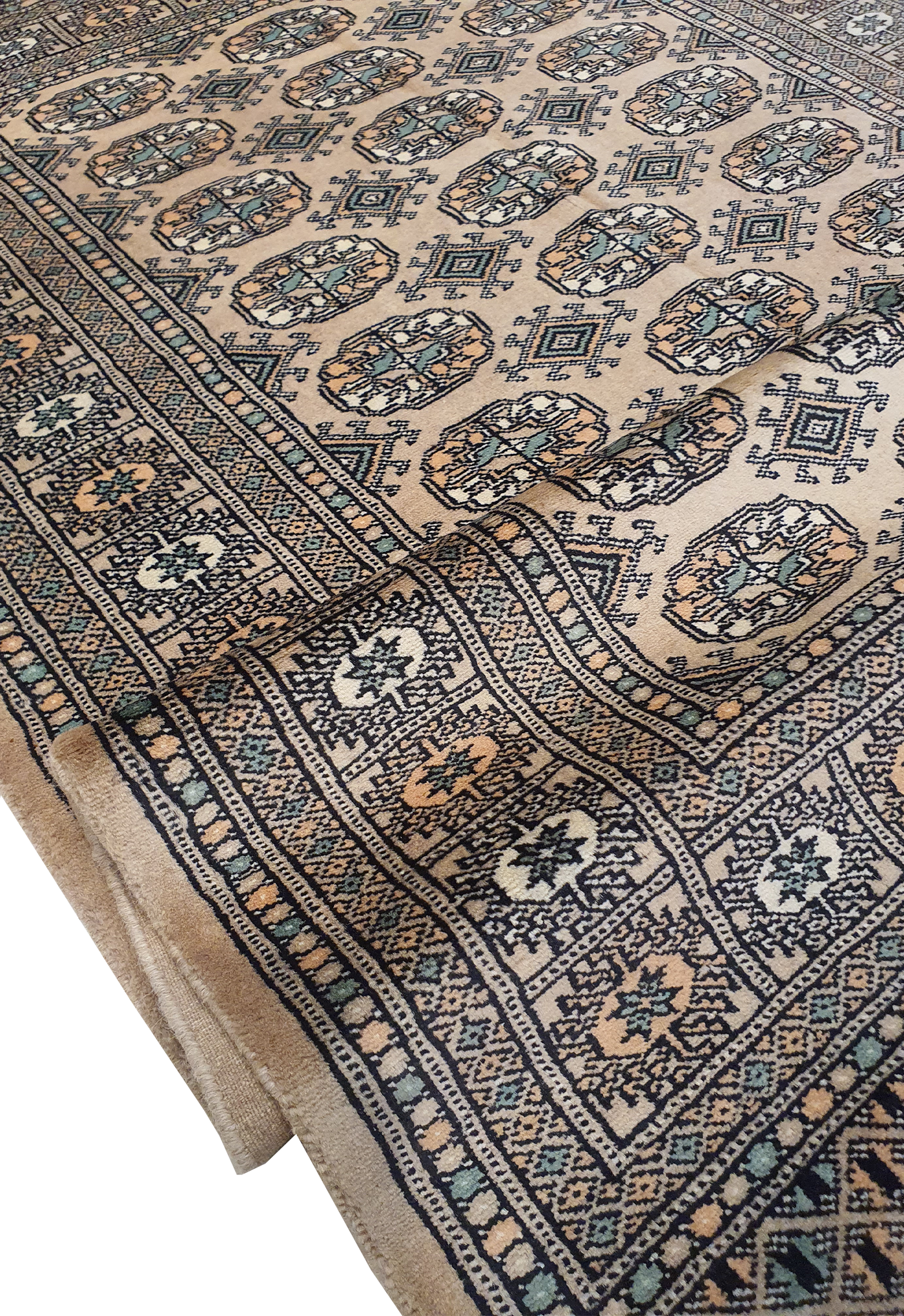 Persian Bokharah-AR2207