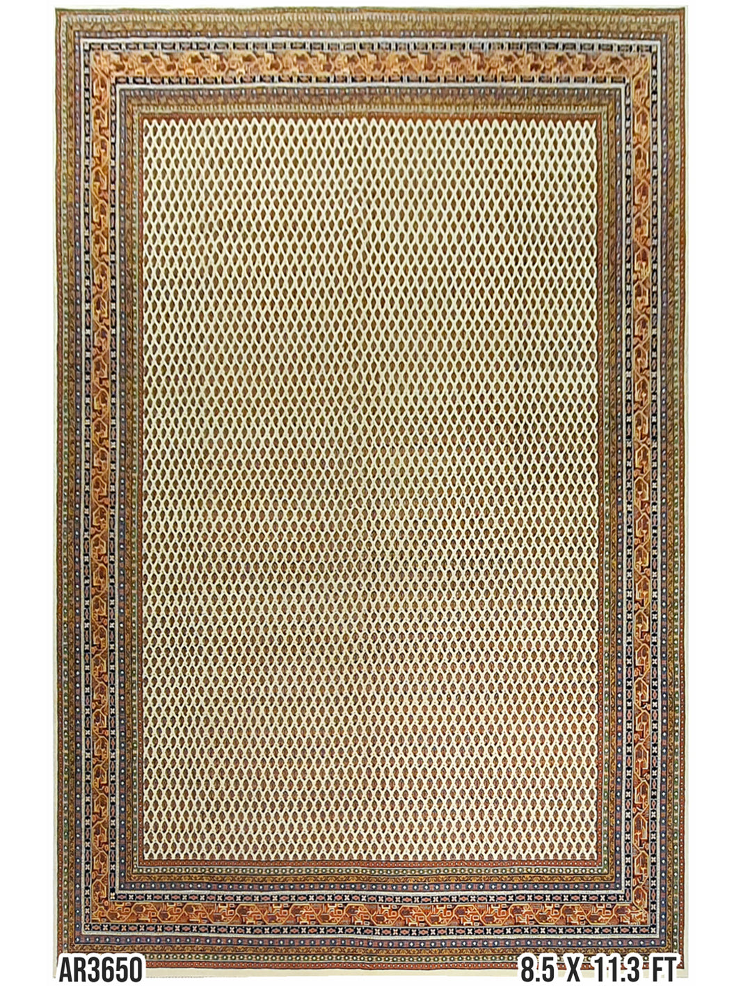 Persian Bidjar Design - 8.5 x 11.3 FT - AR3650