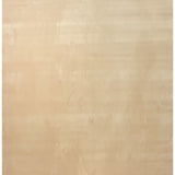 PLAIN CARPET BEIGE COLOR - MM005