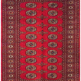 Persian Bukhara Red-AR1262