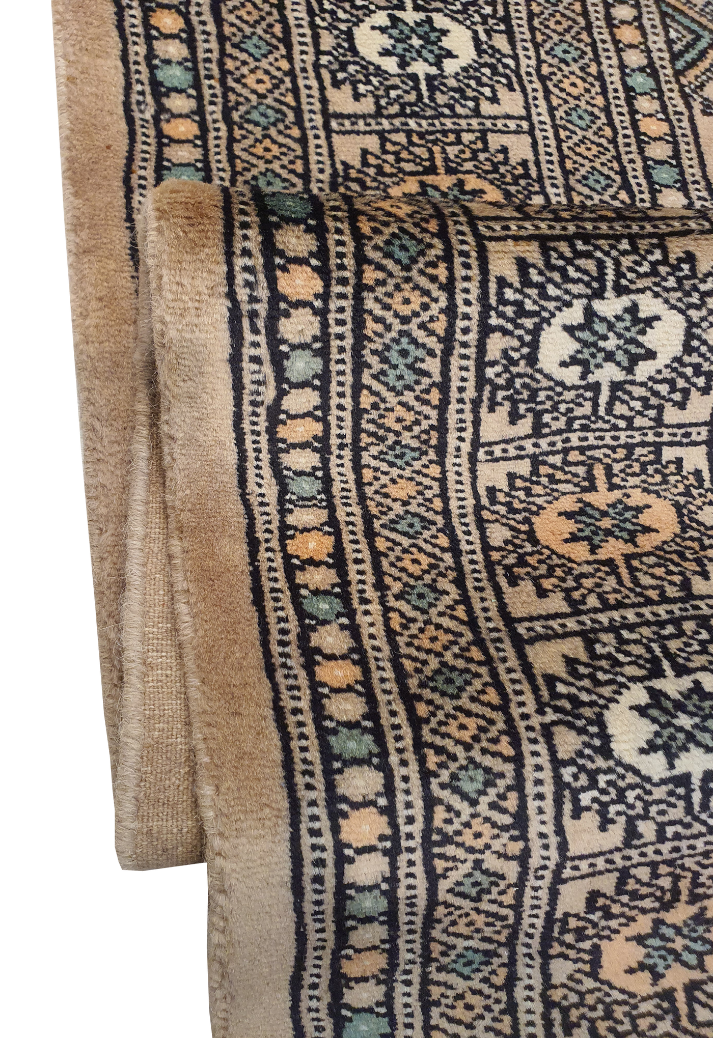 Persian Bokharah-AR2207