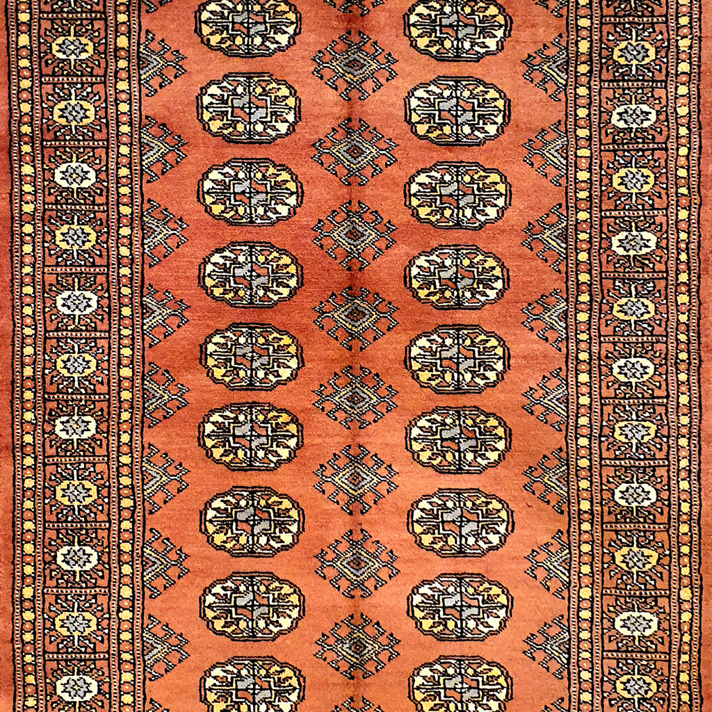 Persian Bukhara Orange-AR1256