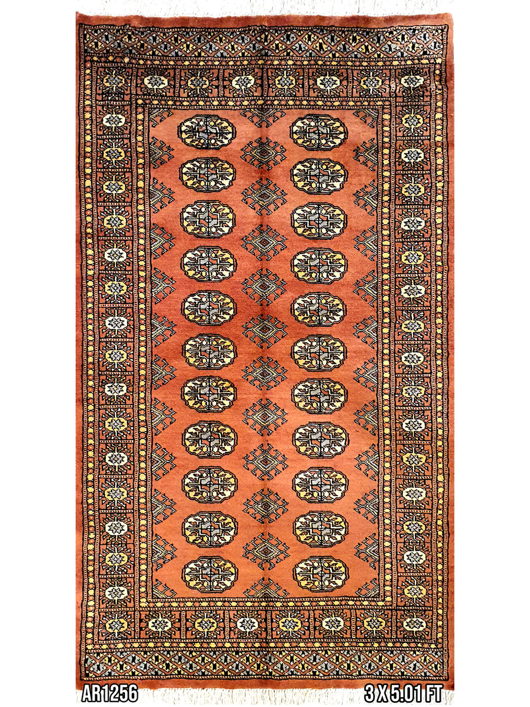 Persian Bukhara Orange-AR1256