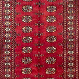 Persian Bukhara Red -AR1260