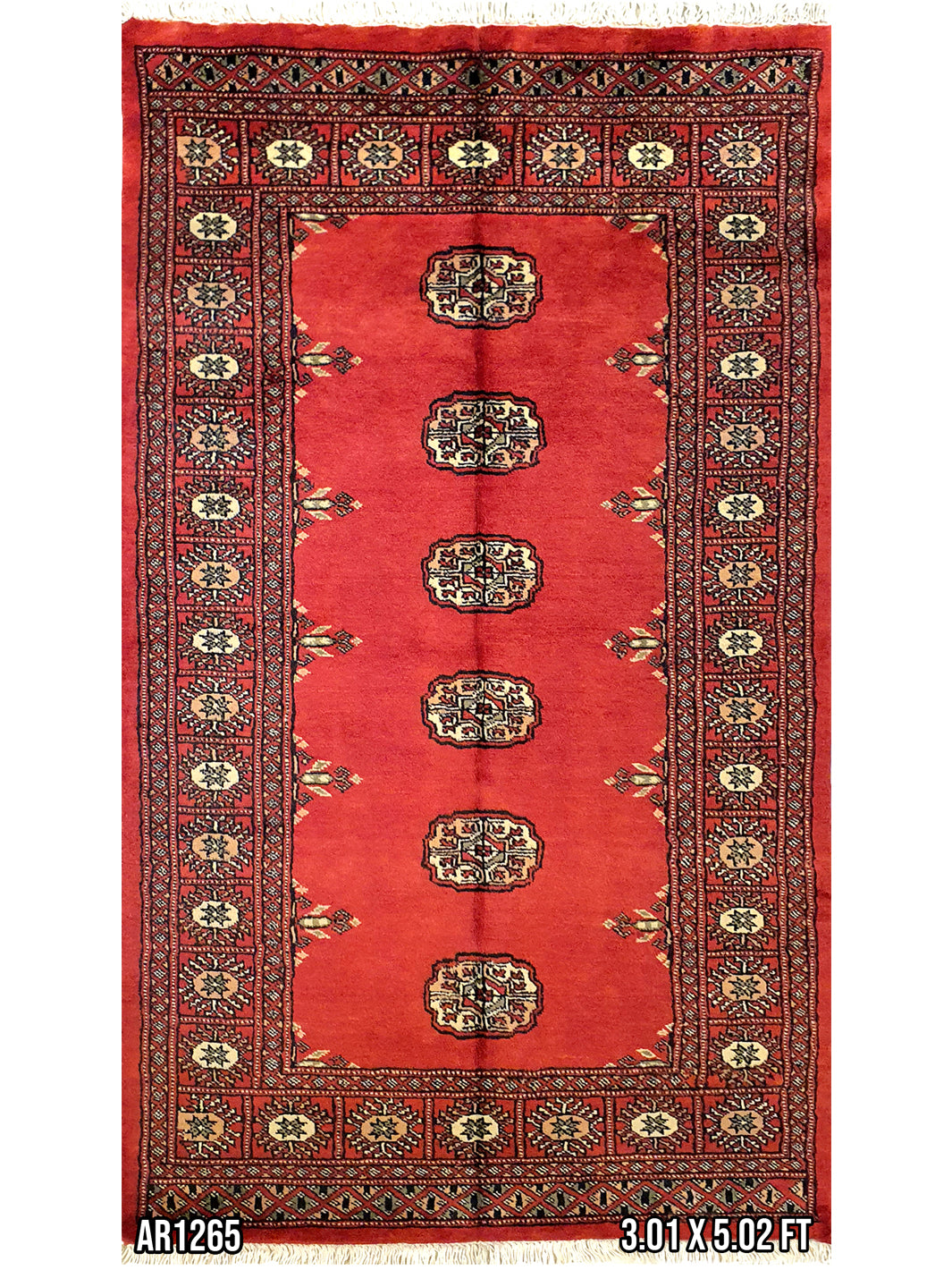 Persian Bukhara Red -AR1265