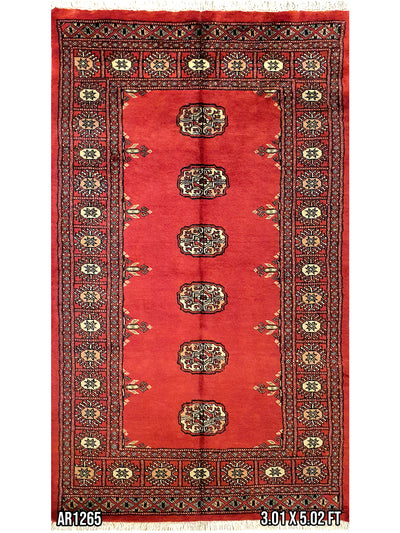 Persian Bukhara Red -AR1265