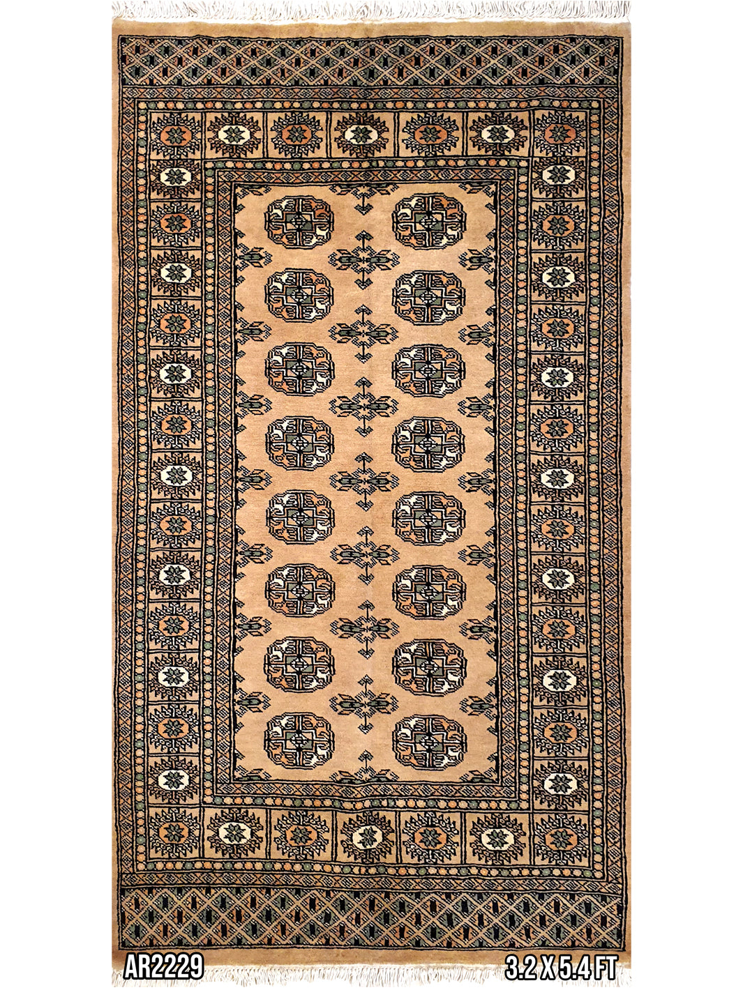 Persian Bokharah Light Brown - 3.02 X 5.04 FT - AR2229