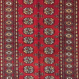 Elephant Foot Pattern Sk Bukhara - AR2536