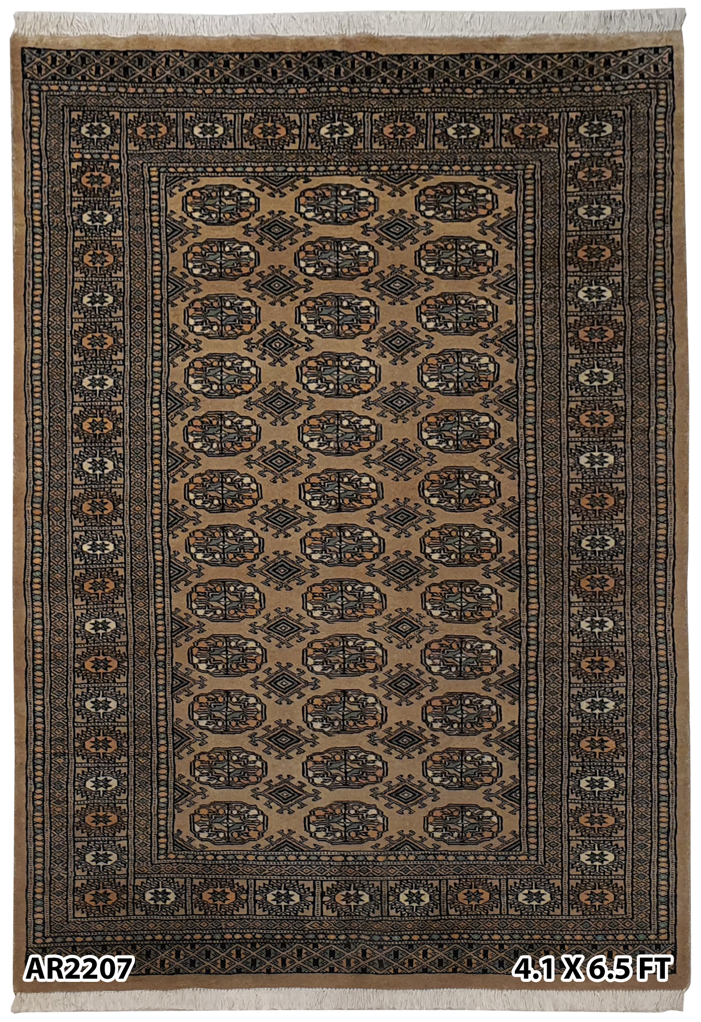 Persian Bokharah-AR2207