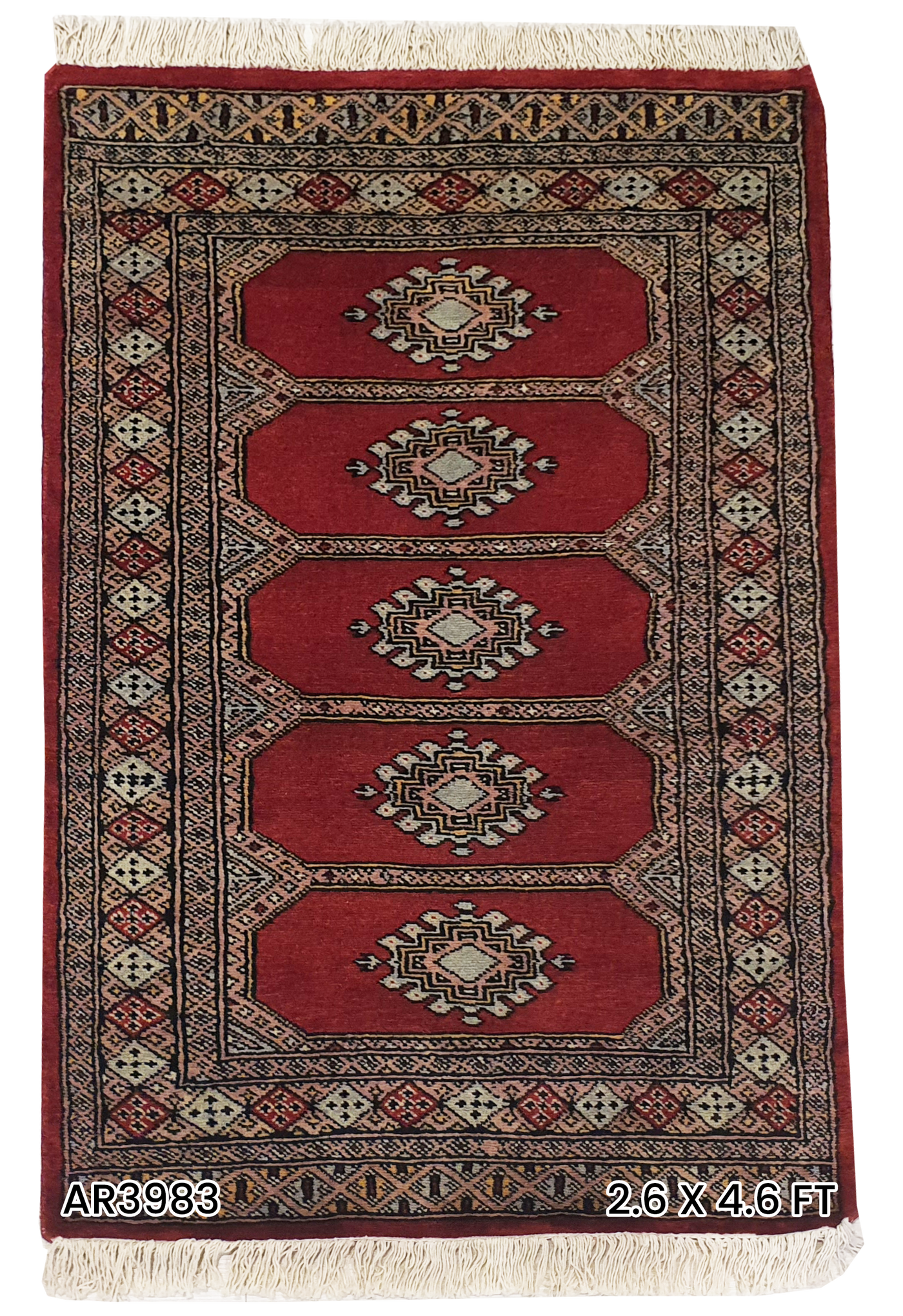 SUPERFINE BUKHARA RED WITH 5 MEDALLION & MULTICOLOUR BORDER - AR3983