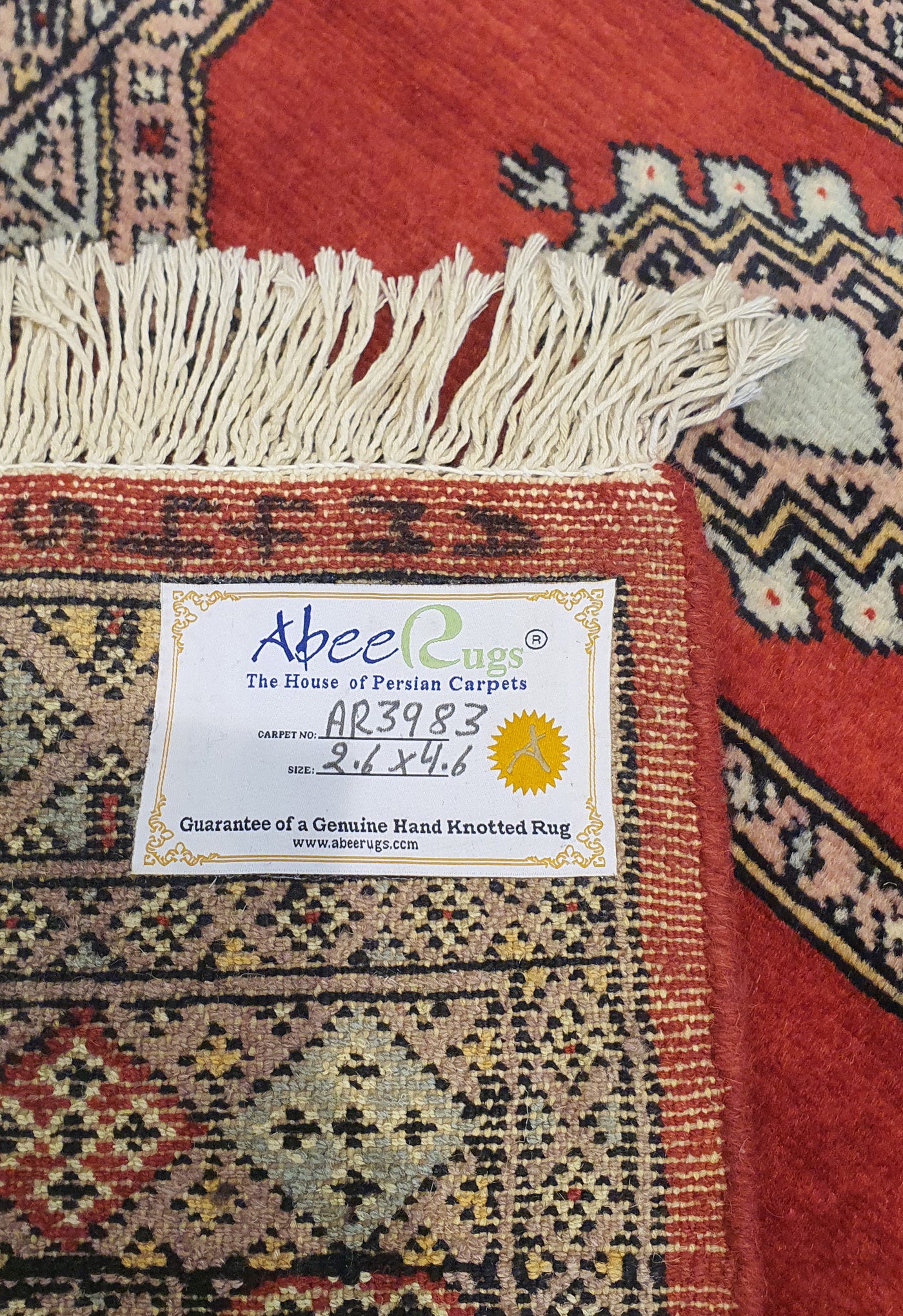 SUPERFINE BUKHARA RED WITH 5 MEDALLION & MULTICOLOUR BORDER - AR3983