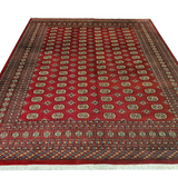 Pak Persian Single Knot Bukhara Design - AR0970
