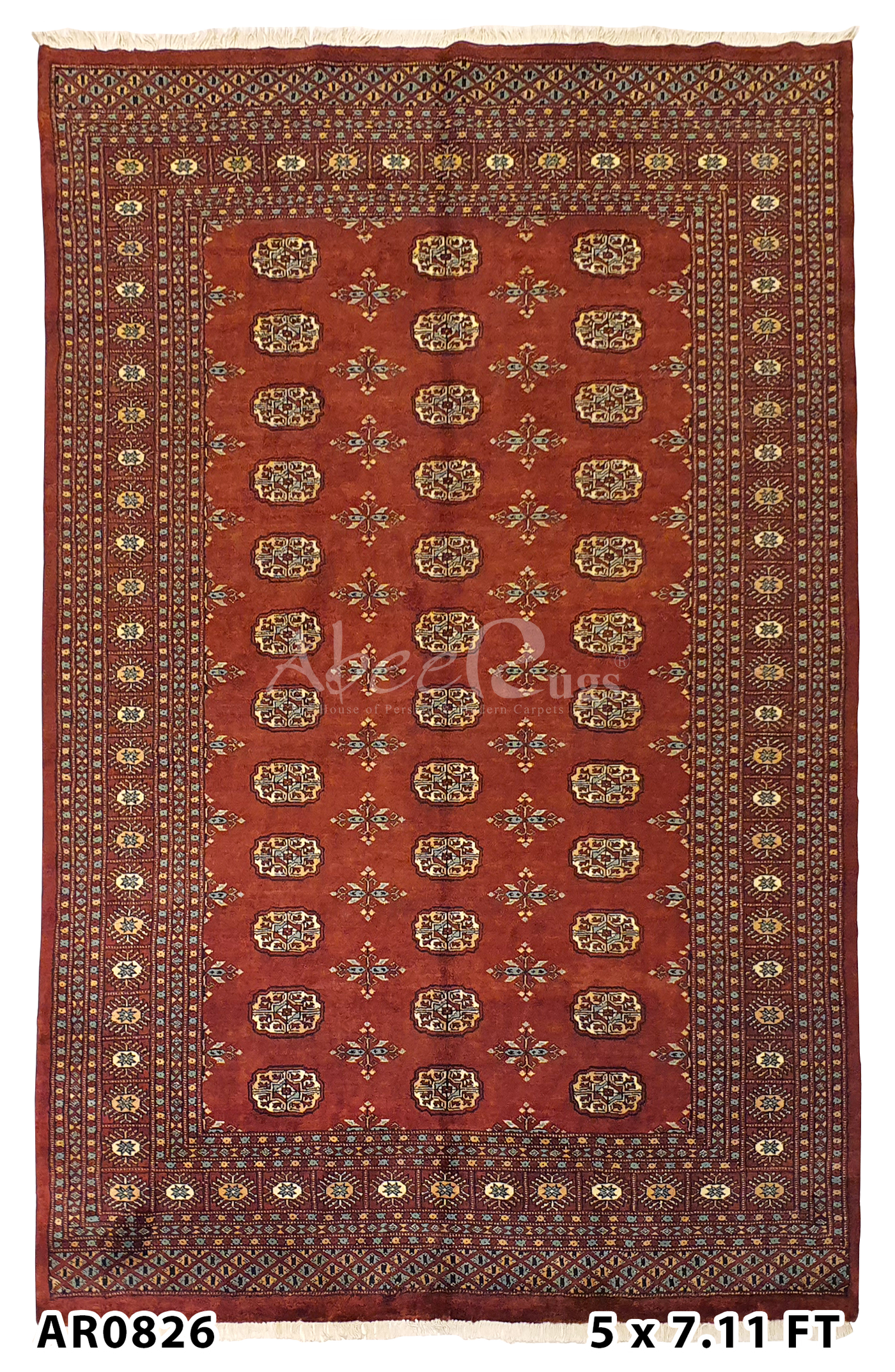 SK Bukhara with Elephant Foot Pattern and Butterfly Design - AR0826