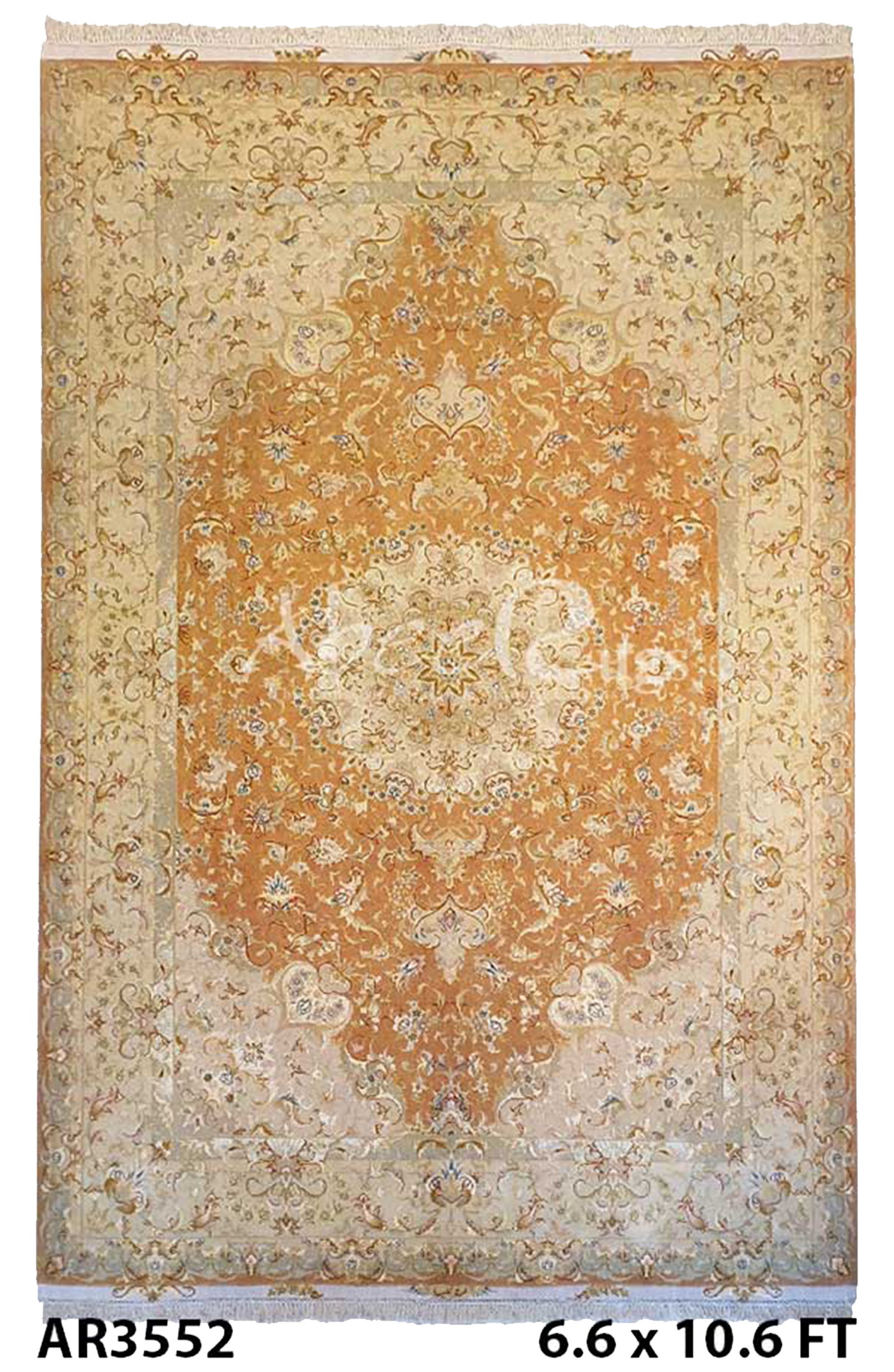 Persian Modern Gabbah with 12 Round Medallion Design - AR2490